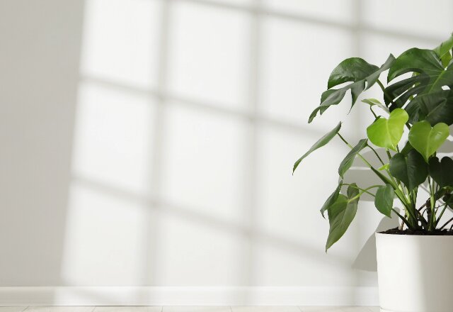 INDOOR AIR QUALITY